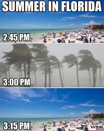 FB_IMG_1687478044015