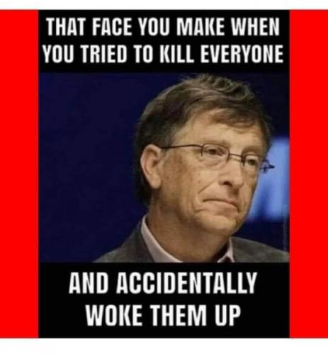 FB_IMG_1688413872532