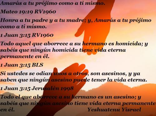 Amarás a tu prójimo como a ti mismo