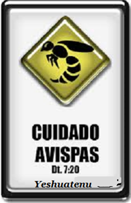 avispas