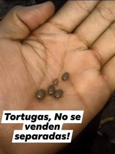 FB_IMG_1690320025319