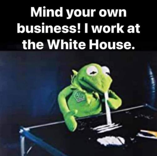 FB_IMG_1689121583824