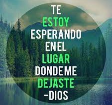 descarga