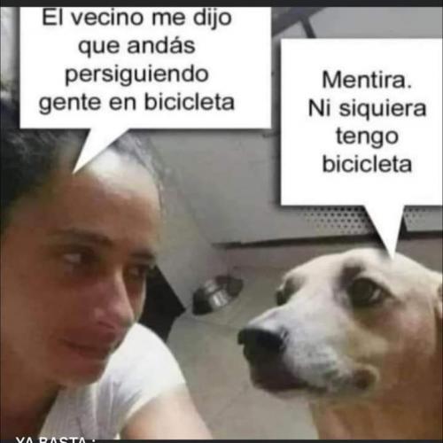 FB_IMG_1693036723472