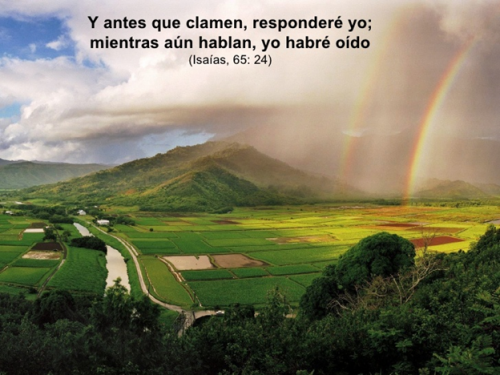 antes que clamen