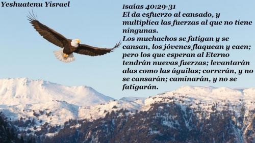 Isaias 40 29 al 31