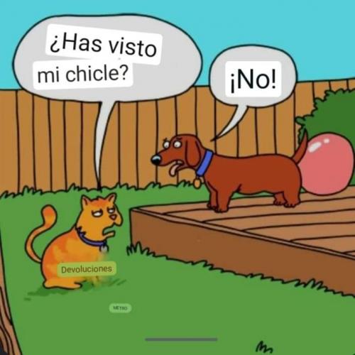 FB_IMG_1693268726248