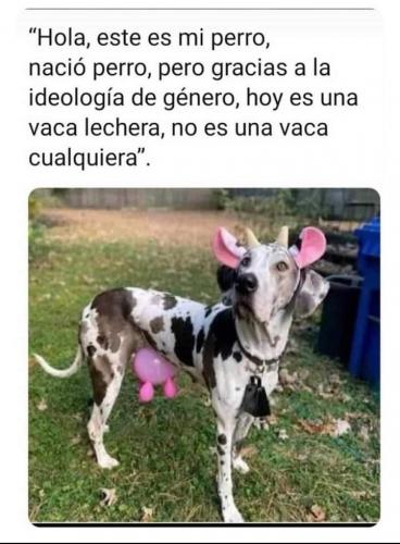 FB_IMG_1692057859371
