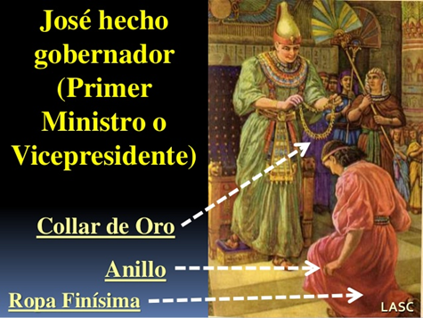 nueva vida 2