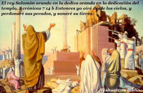 7 Pasos para alcanzar la victoria total