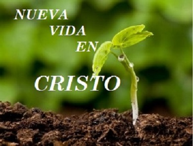nueva vida 1