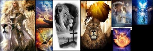 lion 1
