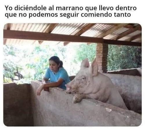 FB_IMG_1697578359926