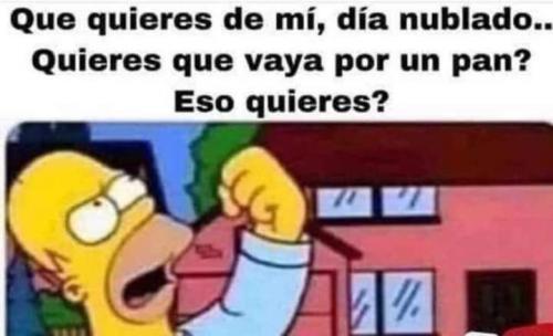FB_IMG_1698088489030