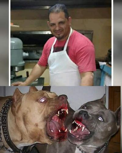 FB_IMG_1696608777091