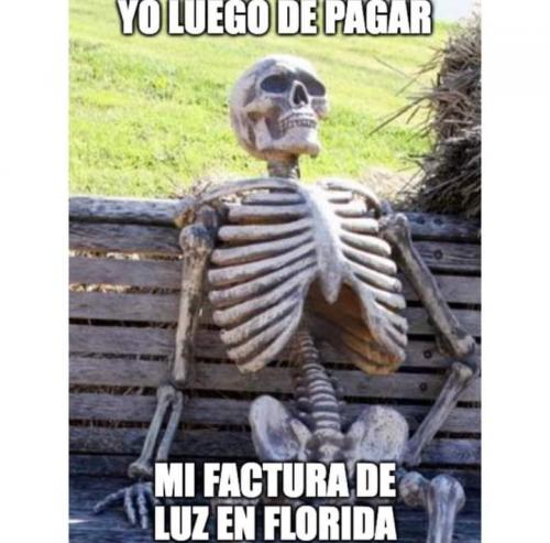 FB_IMG_1698435388454