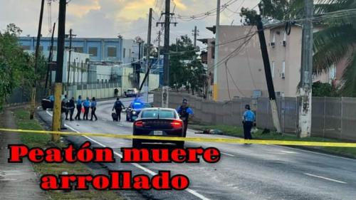 FB_IMG_1697807185655