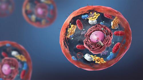 aabiologicalnanamachines_1000x563