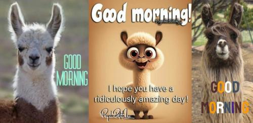 morning 6
