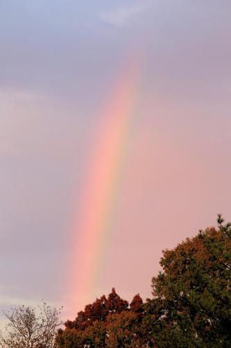 AR3_5431