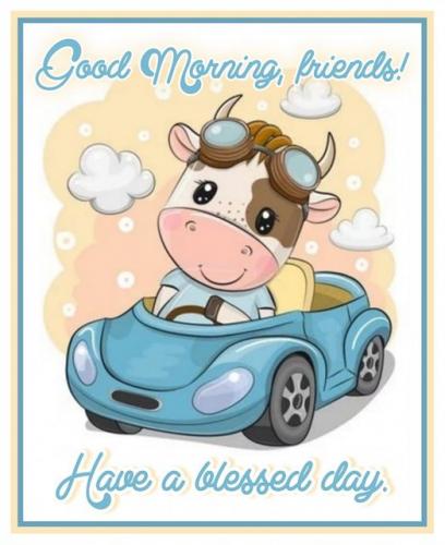 morning 4