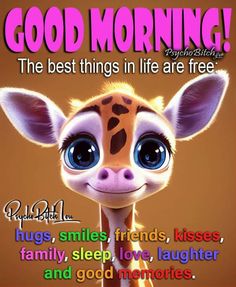 morning 4
