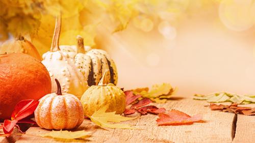aaathanksgiving2023news_1000x563