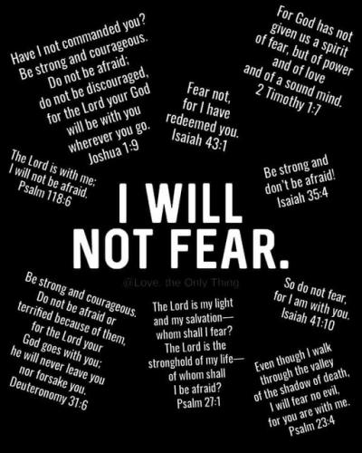 fear 2