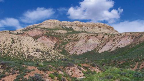 aafossilbutte_1000x563