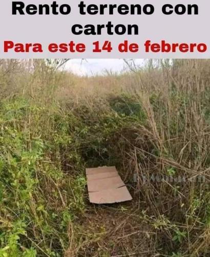 FB_IMG_1705677841902