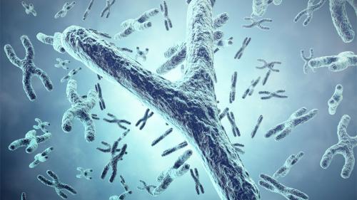 aanew_y_chromosome_1000x563