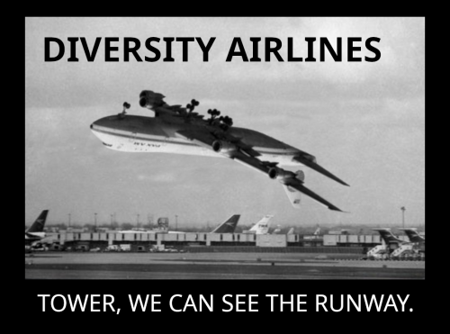 DIVERSITY AIRLINES