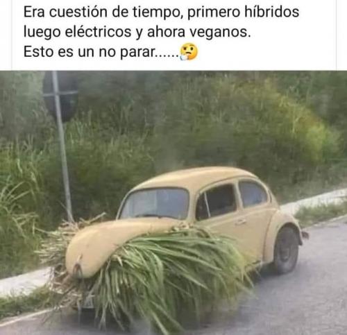 FB_IMG_1705528115373