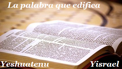 la palabra que edifica