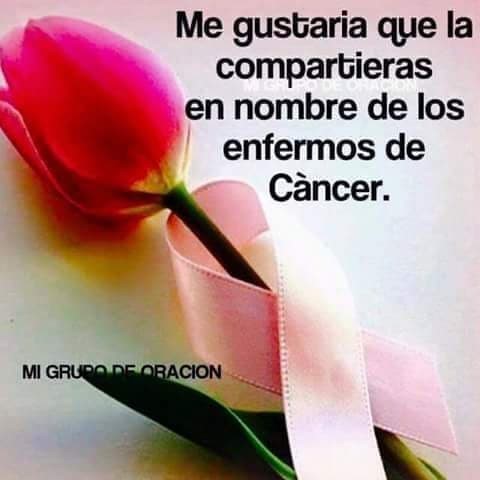 terminales