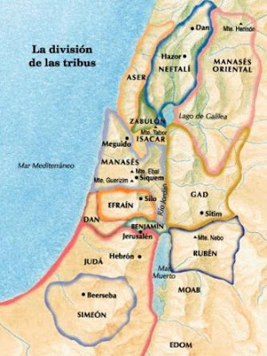 tribus