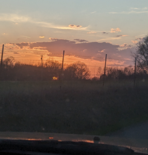 Screenshot_20240313-184454