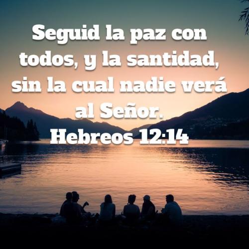 295d3ec72b19f02b62db3b57dbbfc28e