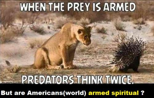 2a