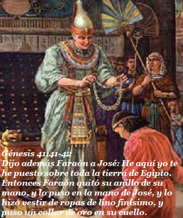 para preservacion de vida