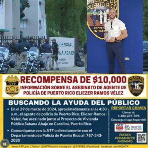 FB_IMG_1712002103299