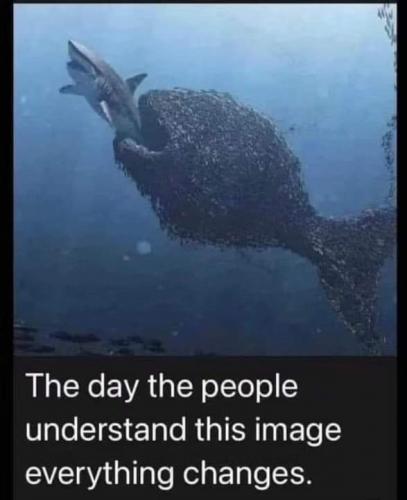 FB_IMG_1712232720594