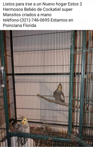 Screenshot_20240530_155928_Facebook