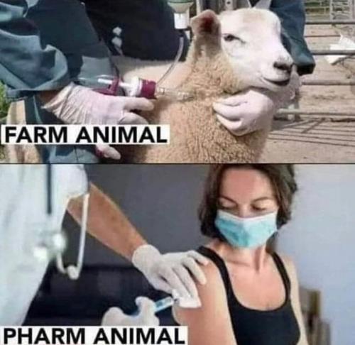 0a