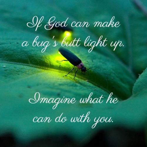 If God can make a bug's butt light up