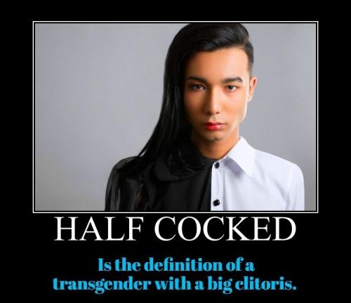 Half cocked
