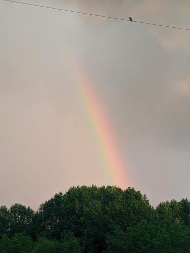 PXL_20240519_003648291