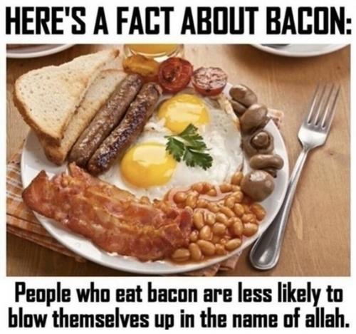 Fun fact about bacon from Larry Elder.568px