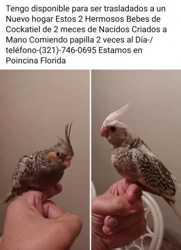 Screenshot_20240607_233755_Facebook