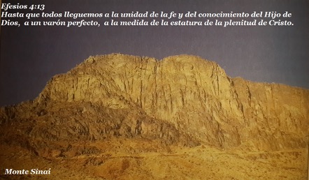 palabra quemueve a Dios